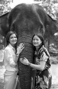 NACH Sisters Elephant_light