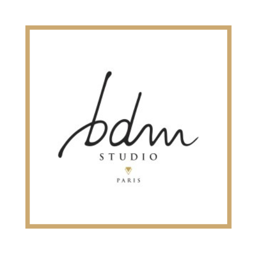 bdm studio logo site